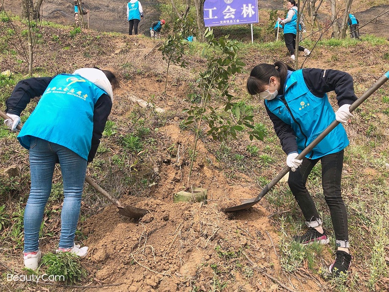華龍公司開展植樹活動 為大自然添新綠