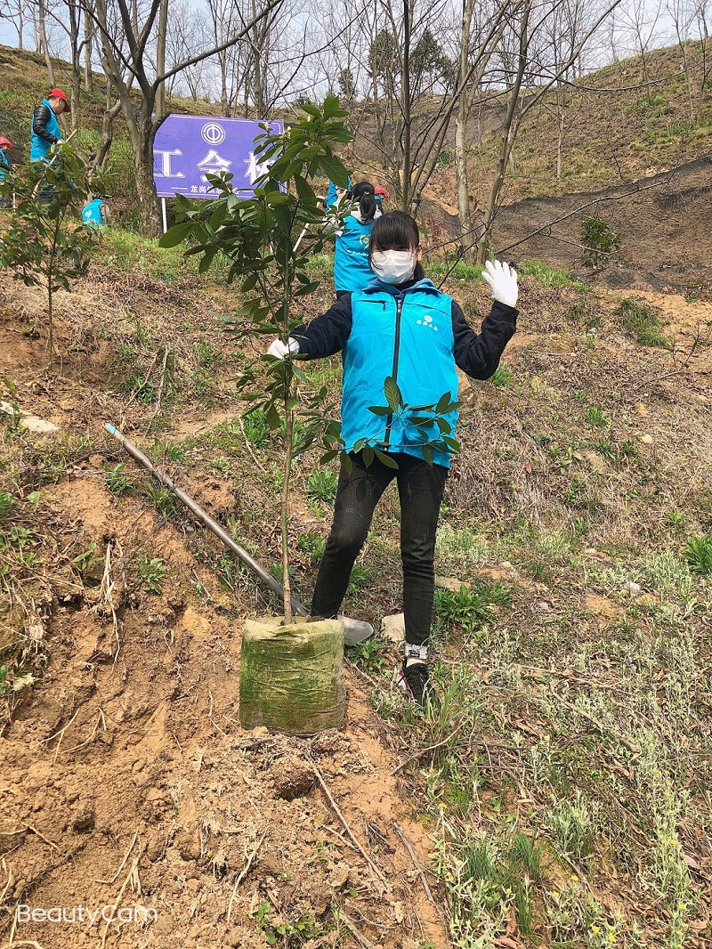 華龍公司開展植樹活動 為大自然添新綠